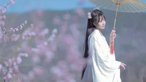 马达加斯加骚乱