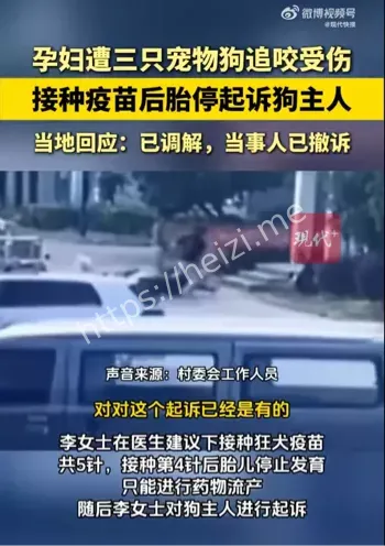 孕妇遭狗追胎停